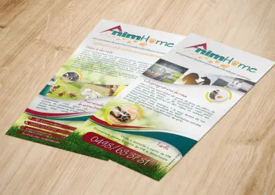 flyer Anim'home