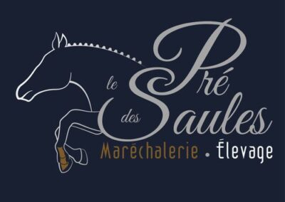Logo 2 Pré des Saules